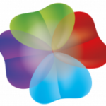 ICONO-COLOREAL_Mesa-de-trabajo-1-1-300x270